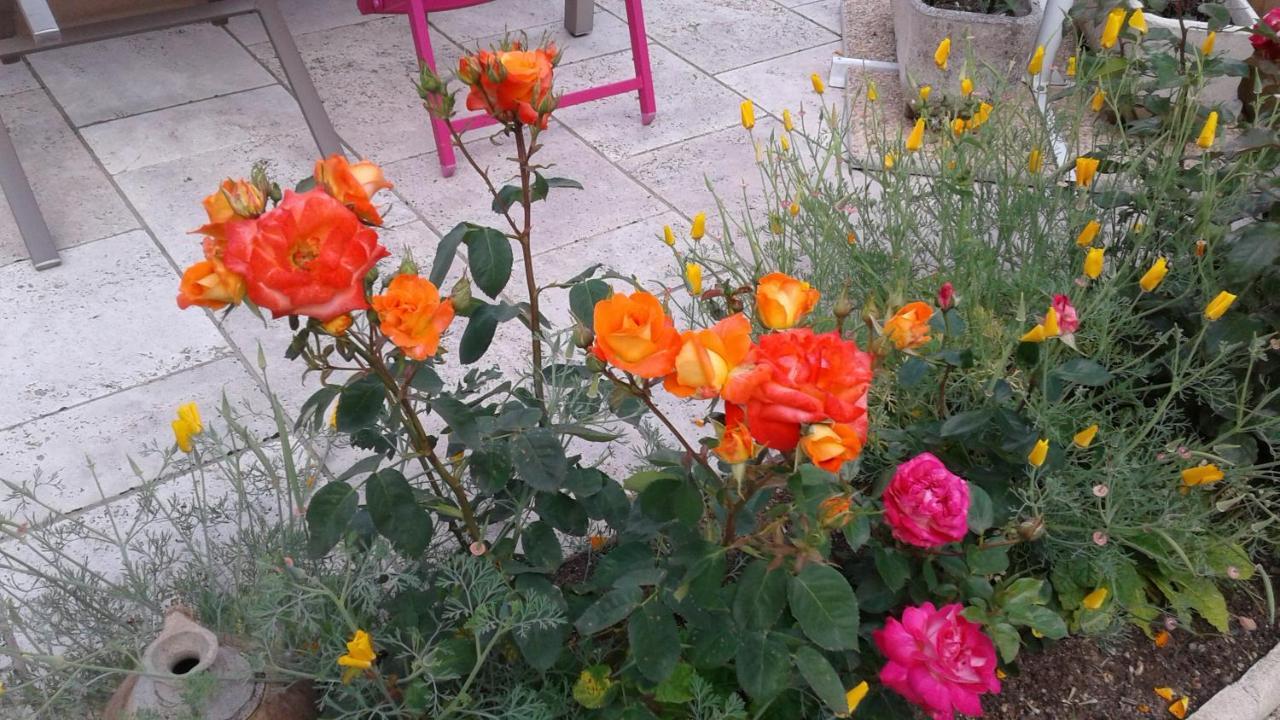 Les Hirondelles Bed & Breakfast Onzain Dış mekan fotoğraf