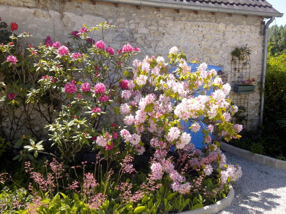 Les Hirondelles Bed & Breakfast Onzain Dış mekan fotoğraf