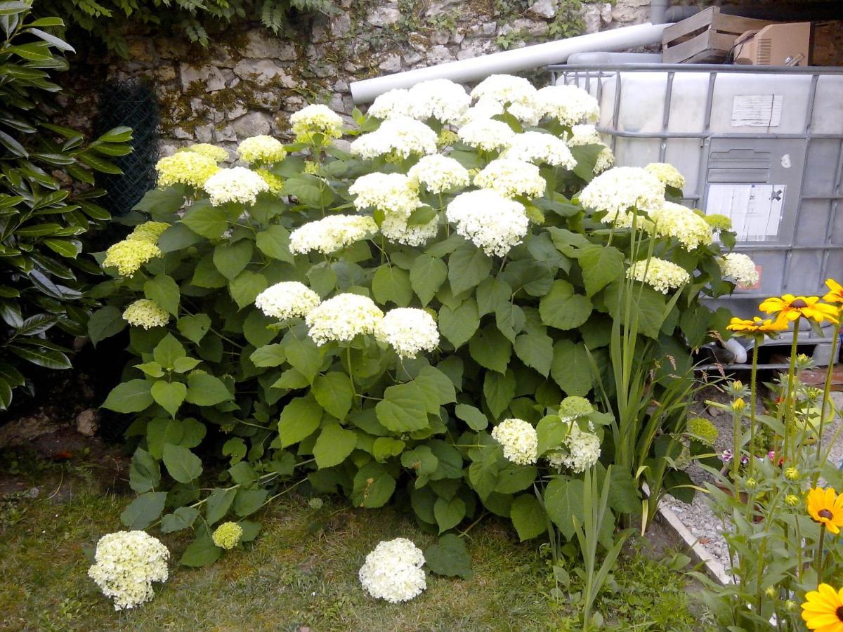 Les Hirondelles Bed & Breakfast Onzain Dış mekan fotoğraf