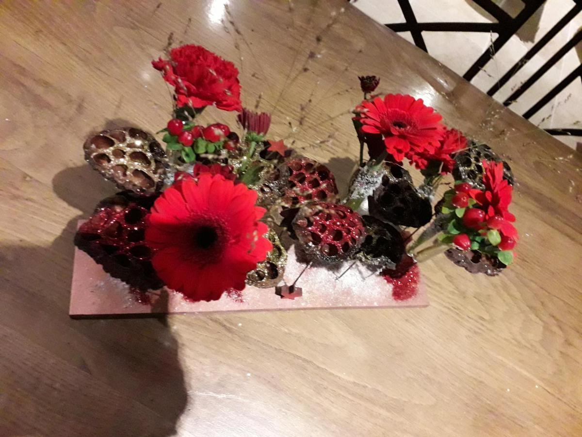 Les Hirondelles Bed & Breakfast Onzain Dış mekan fotoğraf