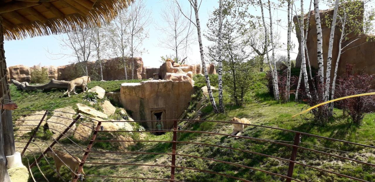 Les Hirondelles Bed & Breakfast Onzain Dış mekan fotoğraf
